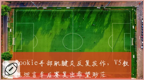 Rookie手部肌腱炎反复发作，V5教练坦言季后赛复出希望渺茫